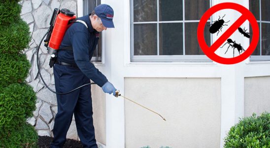 Çakmaklı Dezenfeksiyon böcek ilaçlama ve haşere kontrolü — ilaclama-tr.com